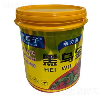 �ڞ���-�ڹ���-�µ����