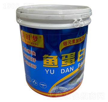 �~(y��)����-�����(m��ng)-�µ����