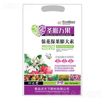 �������������-ʥ���f��-������