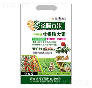 ��ˎ�ĉѸ������-ʥ���f��-������