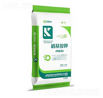 ����������@�-�t���ƻ�