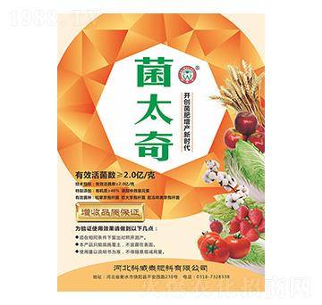 ��̫��-����̩