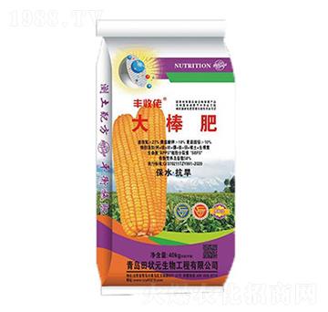 �����-�S����-���Ԫ����