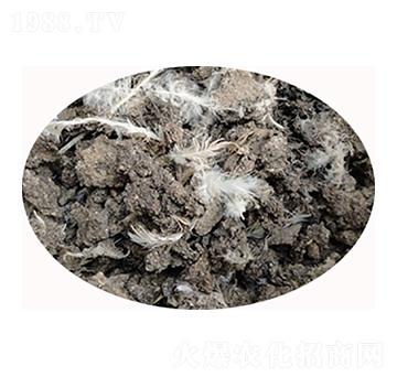 ʯ���f�u�S�ЙC��-���S����