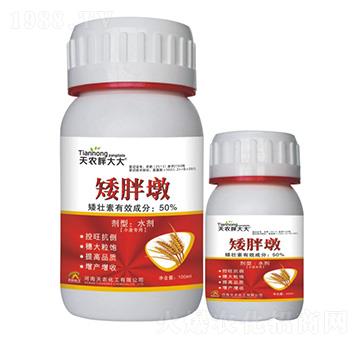 小麥專(zhuān)用-矮胖墩-天農(nóng)胖大大-天農(nóng)化工