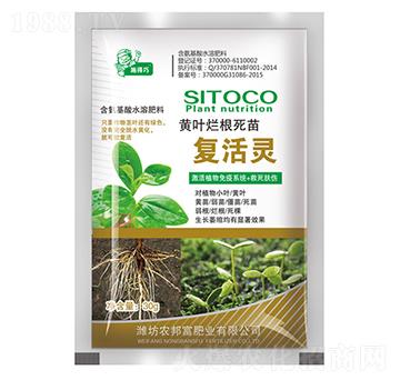 �S�~���������(f��)���`-�r(n��ng)�