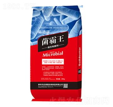 ������-�о��S��