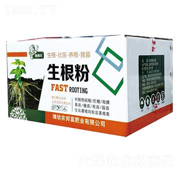 ������-�r�