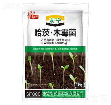 ���ġ�ľù��-�Ҍ�-�r(n��ng)�