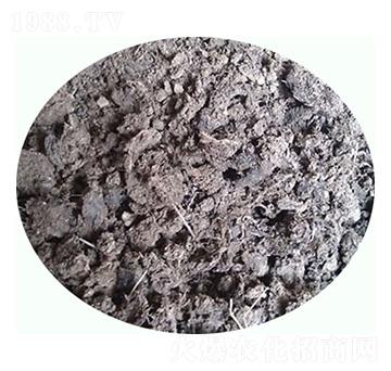 ��Ȼ�����u�S-���|�ʘI(y��)