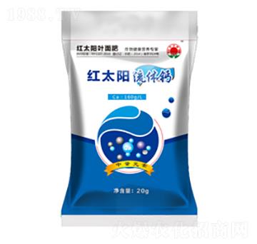 ���w�}-�t̫�(y��ng)-�ư�