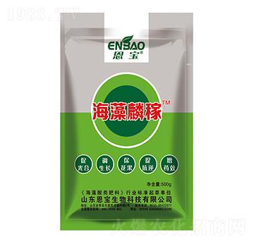 ������ڣ�500g��-����