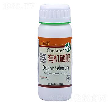 �ЙC����-����