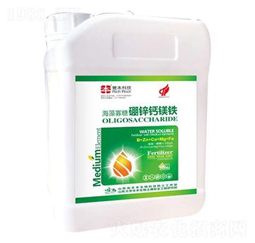 ����������\�}�V�F-�S