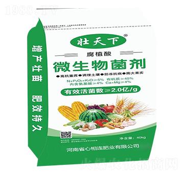 ��ֲ��΢�������-������-�����B�ʘI(y��)