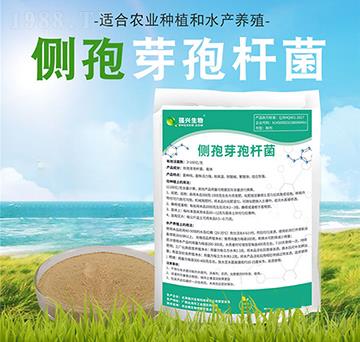 ��(c��)��ѿ�ߗU��-���d����