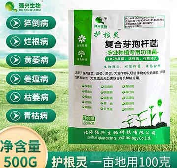 ��(f��)��ѿ�ߗU��-�o���`-���d����