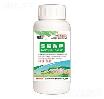 �������-���(bi��o)-��ػ���