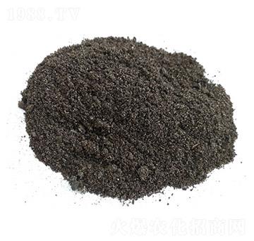 �㽶���������ЙC(j��)��-��ꖿƼ�