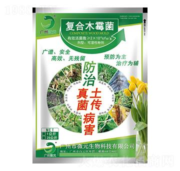 �ͺ�ľù��-΢Ԫ����