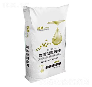 �ι��������-�s��-�︦����