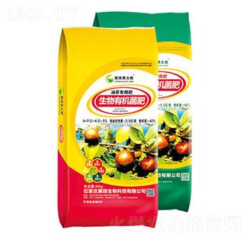 �Ͳ茣�������ЙC(j��)����-��������