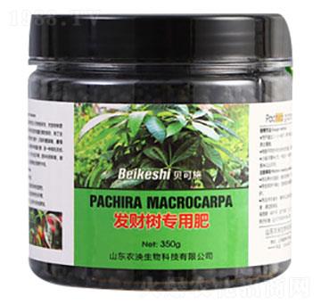 發(fā)財樹專用肥料-貝可施-農(nóng)泱生物