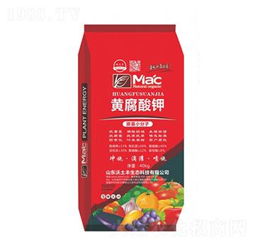 �S�����-�����S