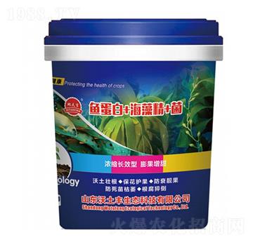 魚(yú)蛋白+海藻精+菌-沃土豐