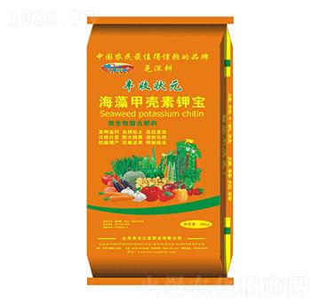 ����ך���⛌�-�S�ՠ�Ԫ-���ǷʘI(y��)