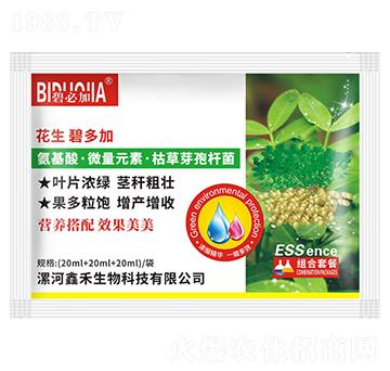 �����̶��-�κ�����