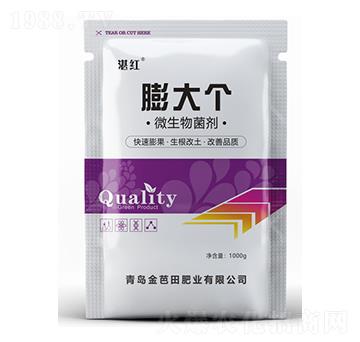 ΢�������-���(g��)-�����