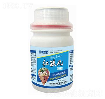 ���¸��o�����-�t����-�����