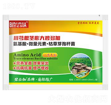 �����o���̶��-�κ�����