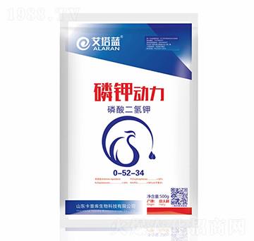 ��������0-52-34-�����{(l��n)��⛄���--���Վ�����