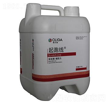 ���ܾ�-�W����