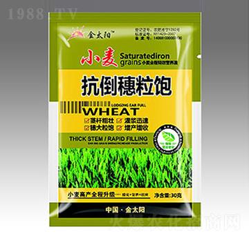 С�����������-�������