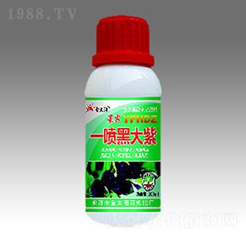 һ���ڴ���-�������