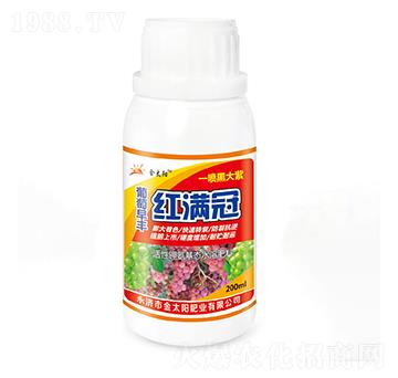 �������S�t�M��-�������