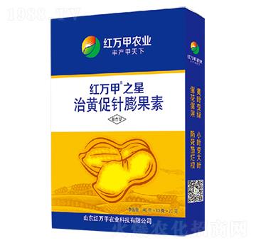 ���S��������-�t�f��֮��