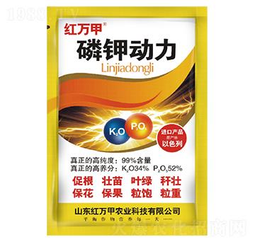 ��⛄���-�t�f��