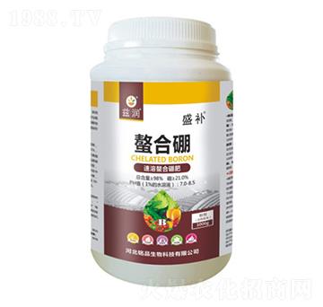 �����������-ʢ�a-�Ʒ����