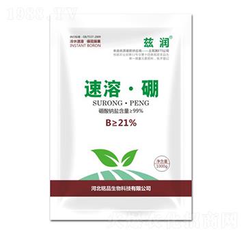 ���ܡ���-�Ʒ����