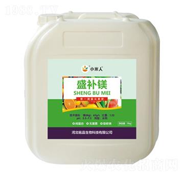 ʢ�a�V-С����-�Ʒ����