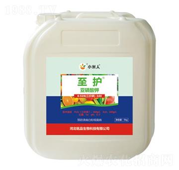 ���o�������-С����-�Ʒ����