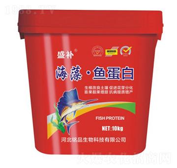 ���塤�~����-ʢ�a-�Ʒ����