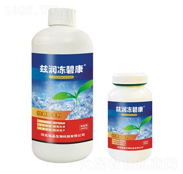 Ɲ�����̿�-�Ʒ����