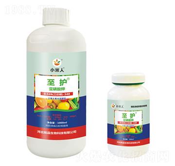 ƿ�b���o�������-С����-�Ʒ����