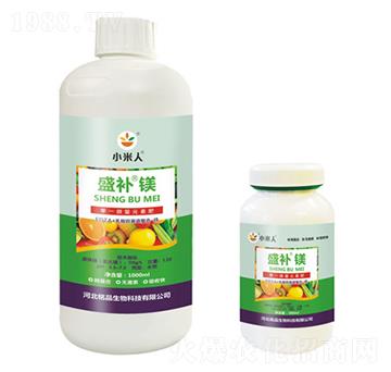 ƿ�bʢ�a�V-С����-�Ʒ����