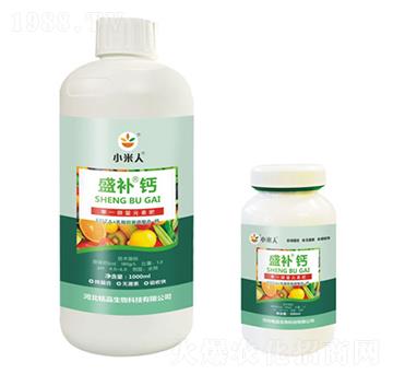 ƿ�bʢ�a�}-С����-�Ʒ����